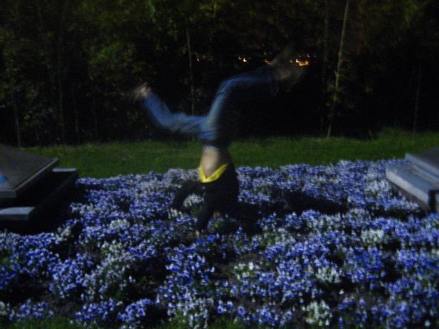 Nachts unterwegs in Angoulème in der Blumenrabatte, Liebidow, 2006