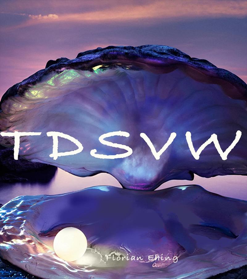 TDSVW #01 /w Florian Ehing