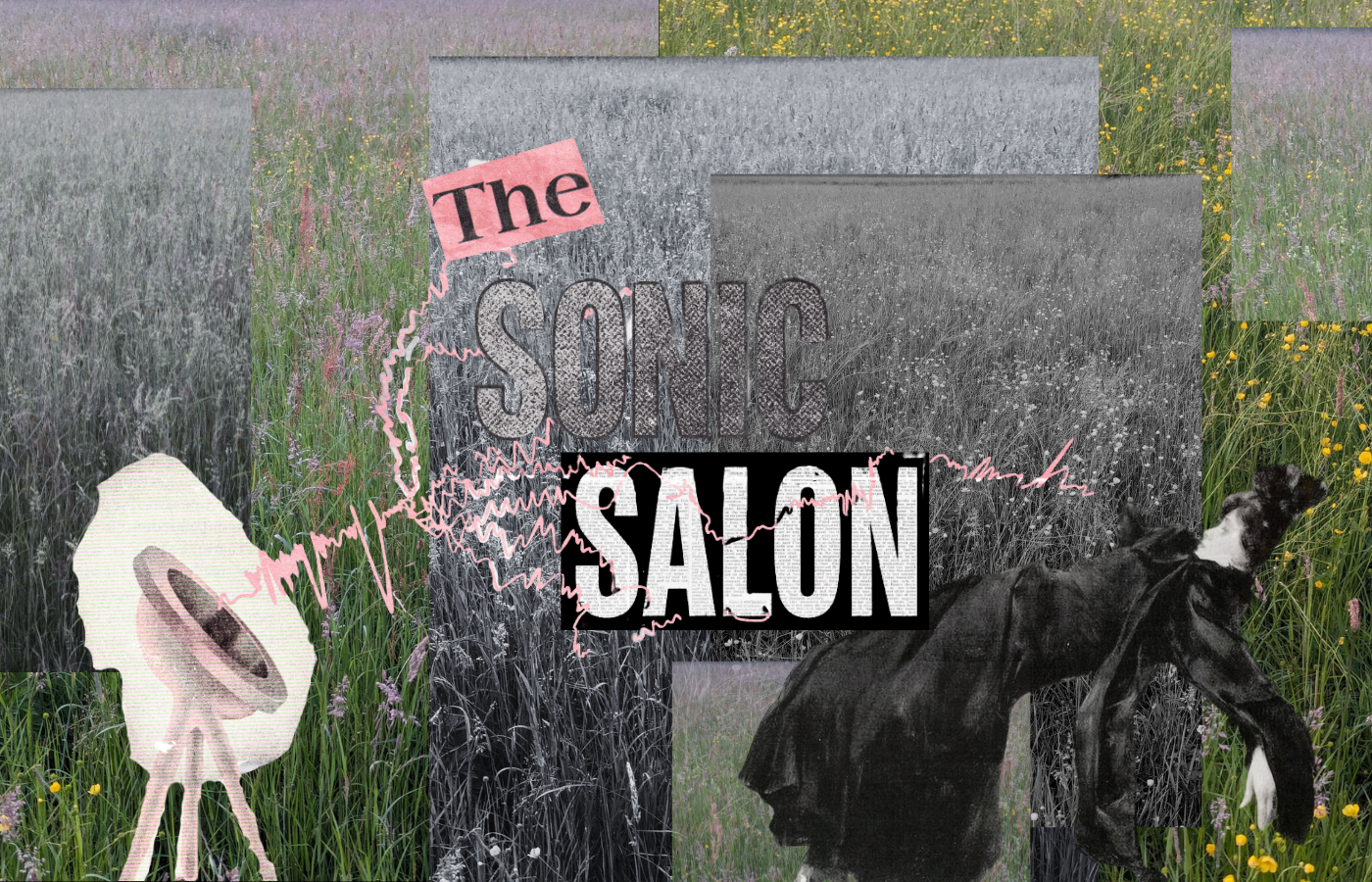 The Sonic Salon