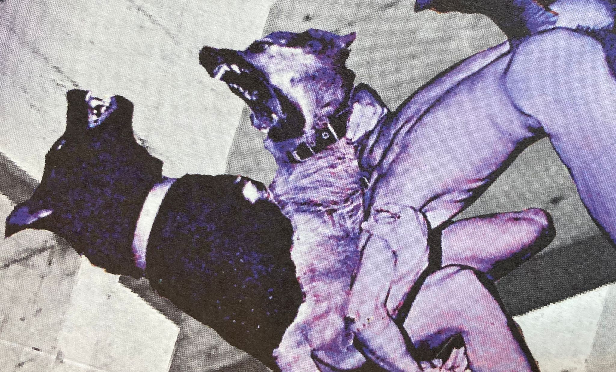 Sternengruppe Sessions